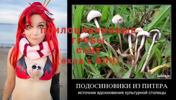 гидра Беломорск