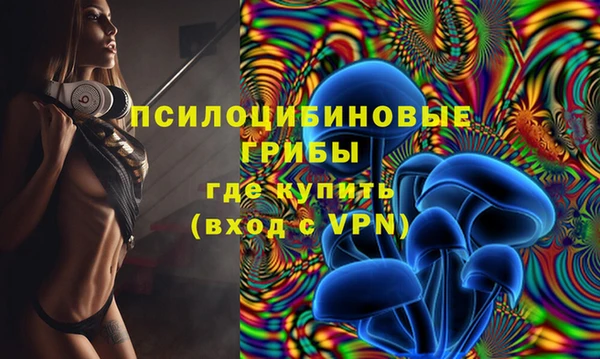 гидра Беломорск