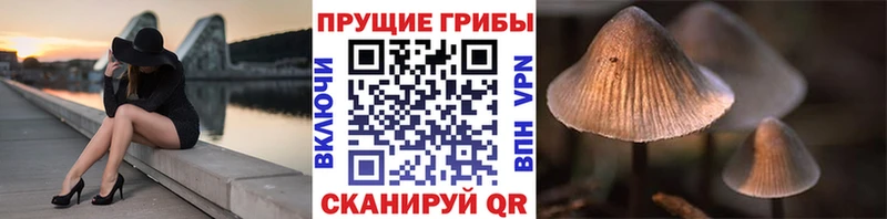 Купить закладки  Очёр  Псилоцибиновые грибы мухоморы 
